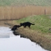 jethro 18-03-2008 (241)