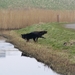 jethro 18-03-2008 (242)