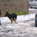 jethro 23-03-2008 (256)