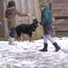 jethro 23-03-2008 (258)