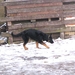 jethro 23-03-2008 (259)
