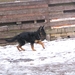 jethro 23-03-2008 (260)