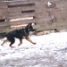 jethro 23-03-2008 (261)
