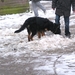 jethro 23-03-2008 (263)