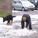 jethro 23-03-2008 (267)