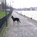 jethro 24-3-2008 (285)