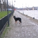 jethro 24-3-2008 (286)