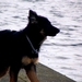 jethro 24-3-2008 (288)