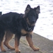 jethro 24-3-2008 (289)