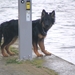 jethro 24-3-2008 (290)