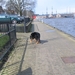 jethro 24-3-2008 (296)