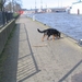 jethro 24-3-2008 (297)