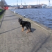 jethro 24-3-2008 (298)