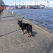 jethro 24-3-2008 (299)