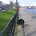 jethro 24-3-2008 (307)