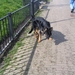 jethro 24-3-2008 (308)