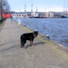 jethro 24-3-2008 (311)