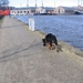 jethro 24-3-2008 (312)