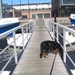 jethro 24-3-2008 (322)