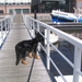 jethro 24-3-2008 (323)