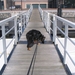 jethro 24-3-2008 (324)