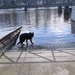 jethro 24-3-2008 (325)
