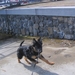 jethro 24-3-2008 (326)