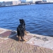 jethro 24-3-2008 (329)