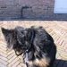 jethro 24-3-2008 (331)