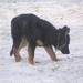 jethro 25-03-2008 (334)