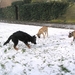 jethro 25-03-2008 (341)