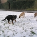 jethro 25-03-2008 (342)