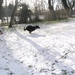 jethro 25-03-2008 (347)