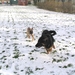 jethro 25-03-2008 (348)