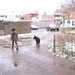 jethro 25-03-2008 (360)
