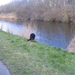 jethro 26-03-2008 (366)