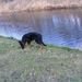 jethro 26-03-2008 (367)
