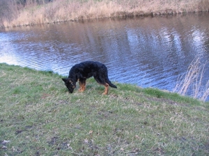 jethro 26-03-2008 (367)