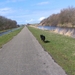 jethro 26-03-2008 (370)