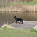 jethro 26-03-2008 (373)