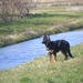 jethro 26-03-2008 (378)
