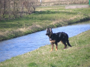 jethro 26-03-2008 (378)