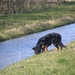 jethro 26-03-2008 (379)