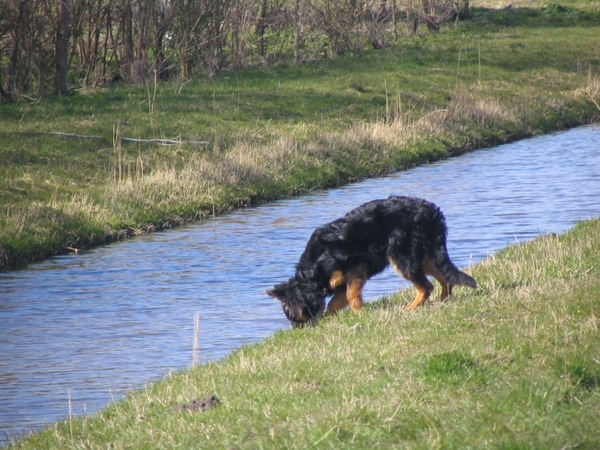 jethro 26-03-2008 (379)