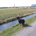 jethro 26-03-2008 (380)