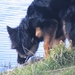 jethro 26-03-2008 (382)