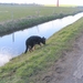 jethro 26-03-2008 (383)