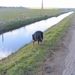 jethro 26-03-2008 (384)