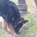 jethro 26-03-2008 (386)