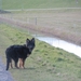 jethro 26-03-2008 (389)